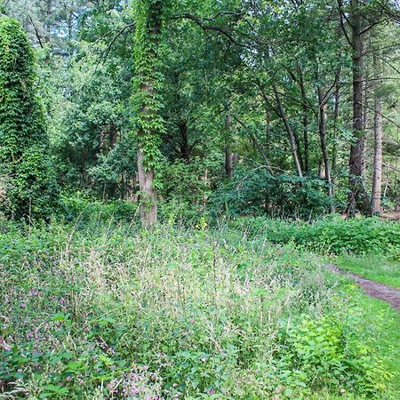 Huiske Oan T Bos Lage Mierde Экстерьер фото