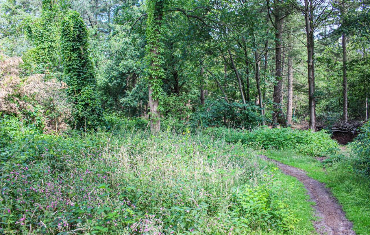 Huiske Oan T Bos Lage Mierde Экстерьер фото